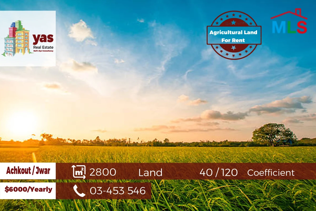 Achkout / Jwar 2800m2 | Flat Land | 40 / 120 Coefficient | Rent | WA