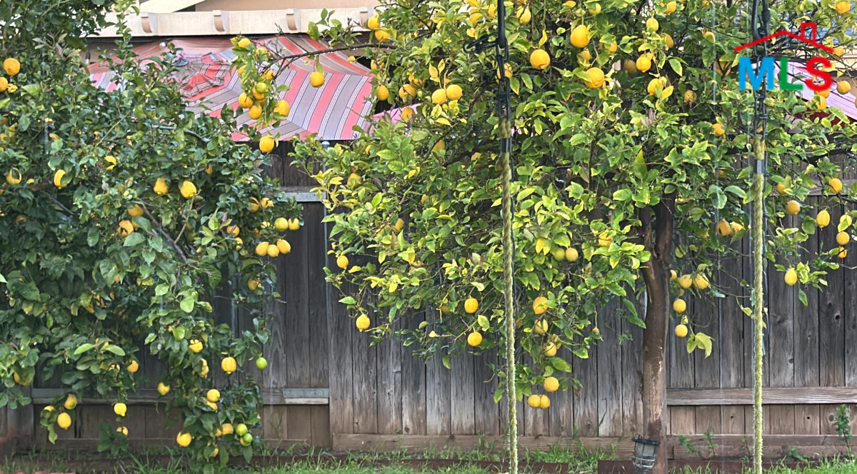 Testing how long the line is going to be and try to tri