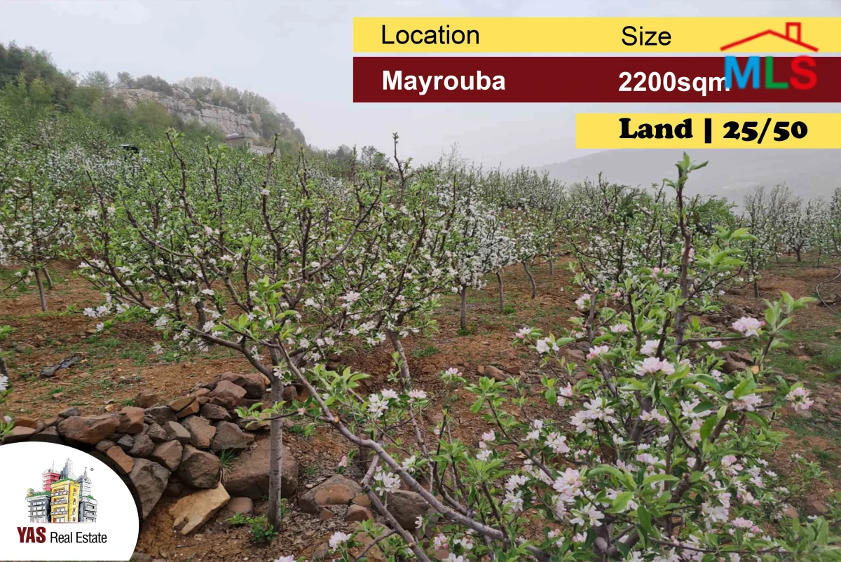 Mayrouba 2200m2 | Land | 25/50 | Residential | Mountain View | DA EL
