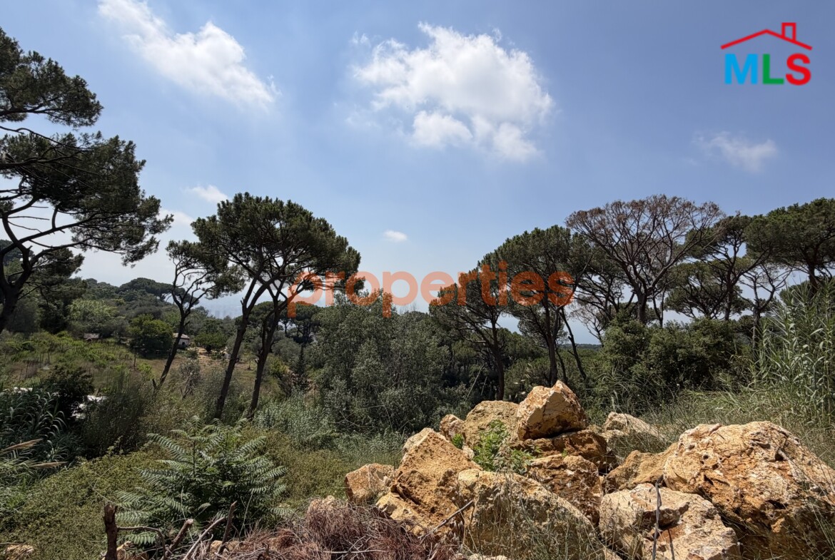 Land For Sale In Ain Saadeh – CPJW32