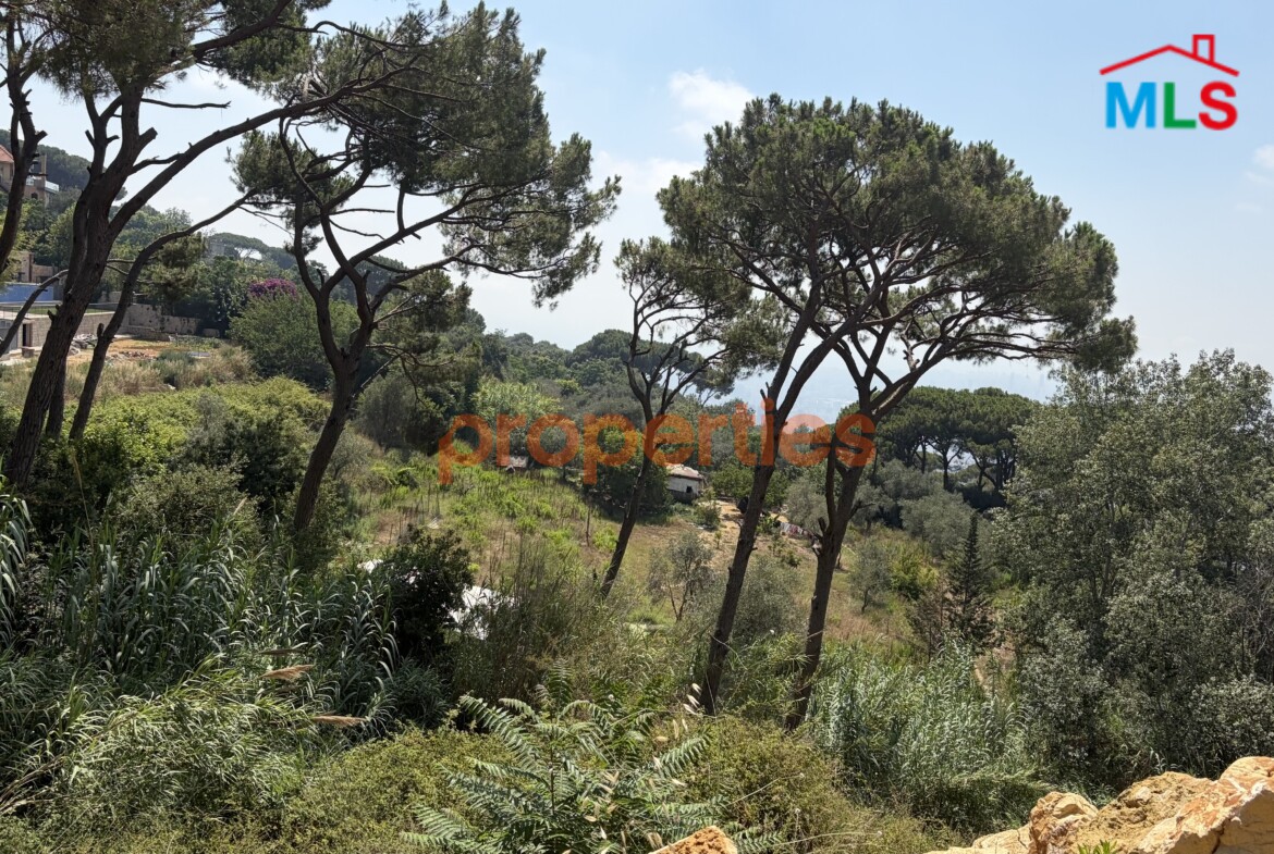 Land For Sale In Ain Saadeh – CPJW32