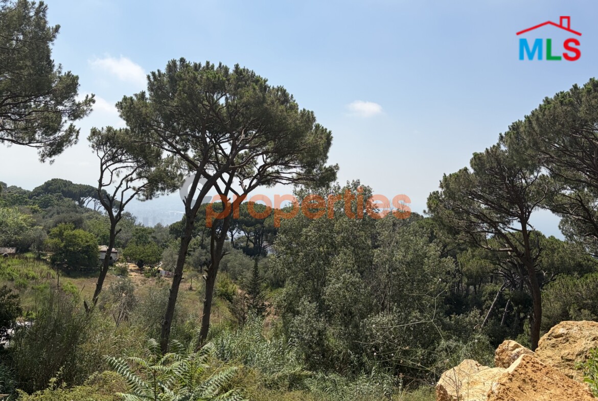 Land For Sale In Ain Saadeh – CPJW32