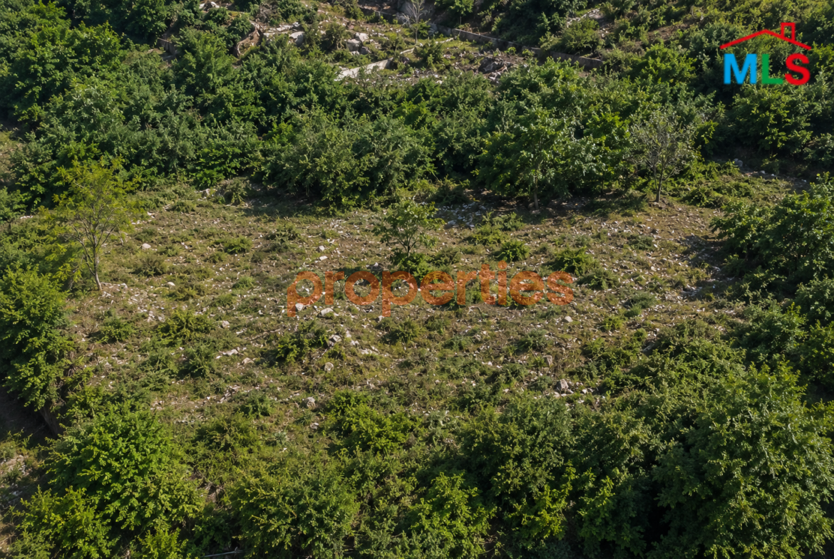 Land For sale In Sarba CPKTC98
