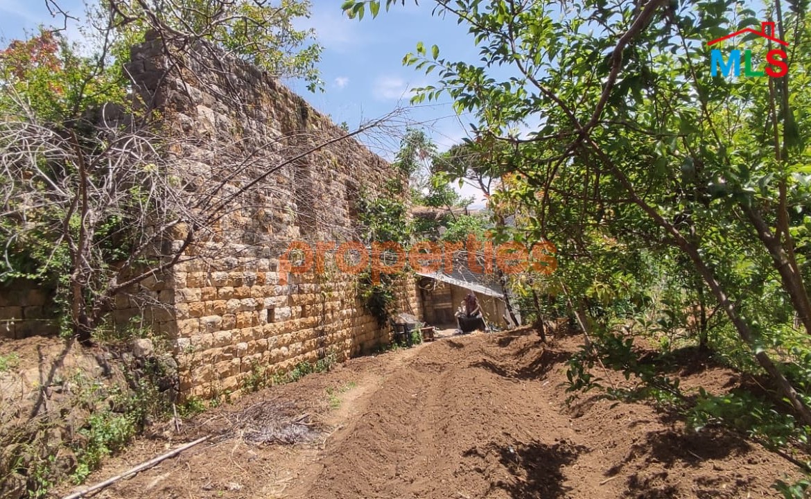 Land for Sale in Chouf/Serjbel – CPSM511
