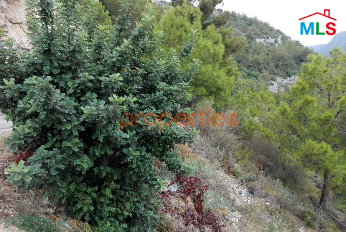 Land for sale in Blat – Jbeil – CPJMH42