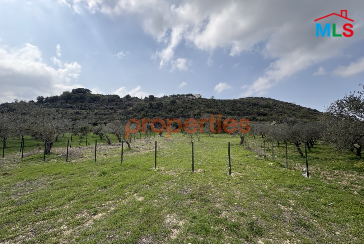 Flat Land In Kfifan-Batroun For Sale -CPJGN22
