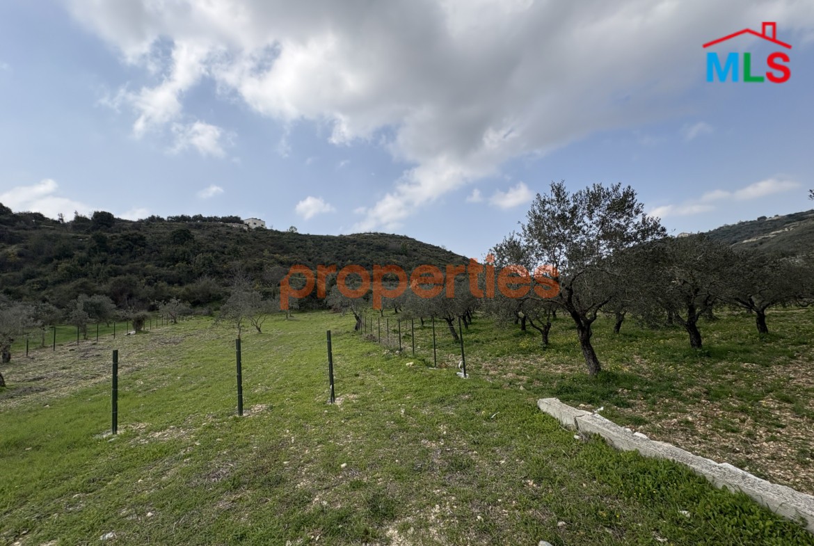 Flat Land In Kfifan-Batroun For Sale -CPJGN22