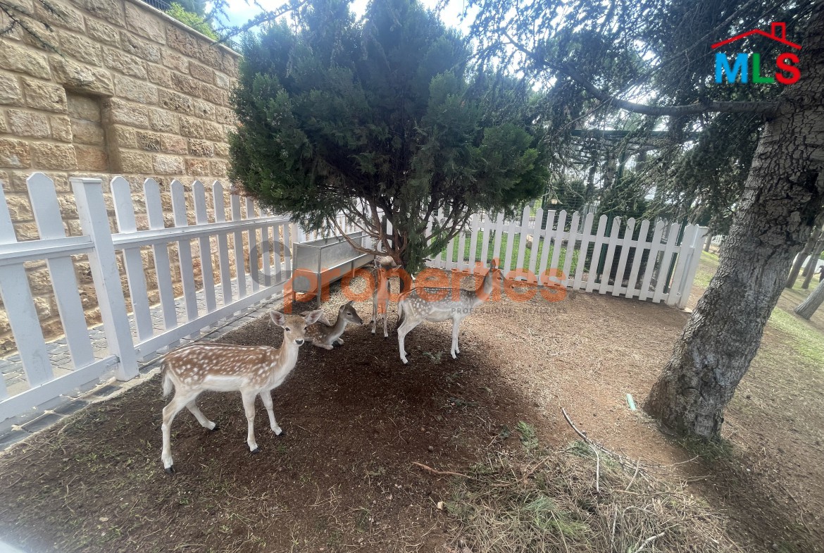 Luxury Furnished Palace for Sale – Mazboud Chouf – CPHR06