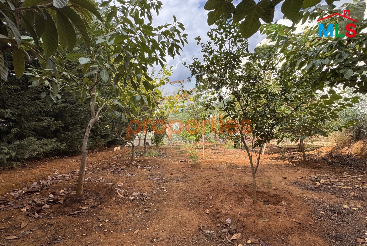 Land For Sale In Awkar – CPTA35