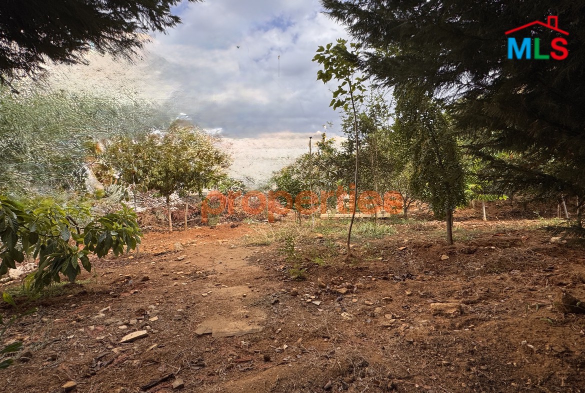 Land For Sale In Awkar – CPTA35
