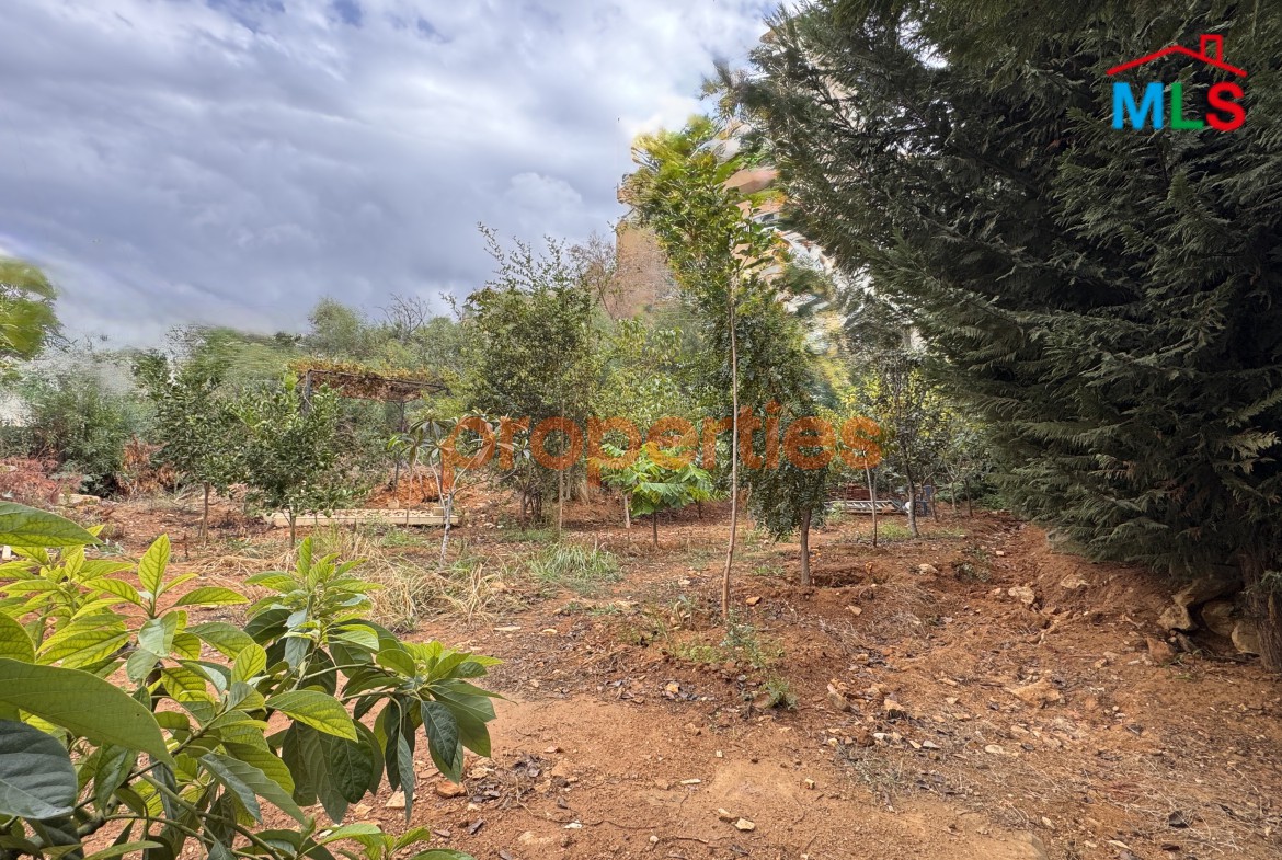 Land For Sale In Awkar – CPTA35