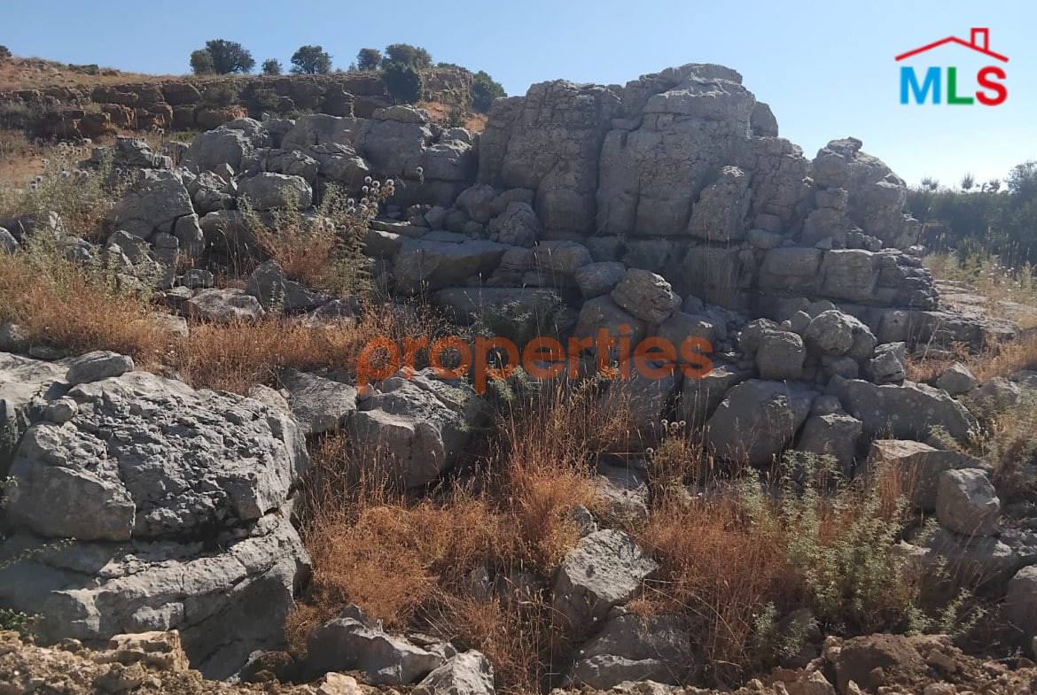 Land for Sale in Bekish/Baskinta – CPKMF59