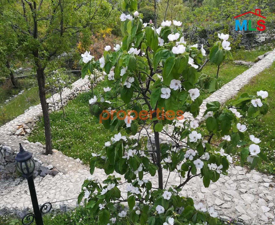 Villa for sale in zabbougha CPSM77