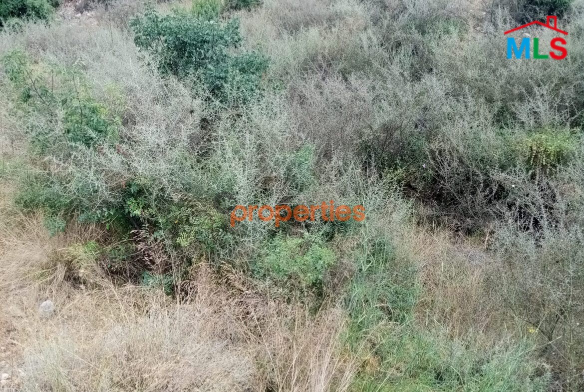Land for sale in hboub – jbeil CPJRK207