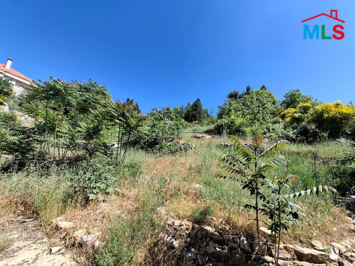 2,195 SQM Land For Sale On Faytroun Highway