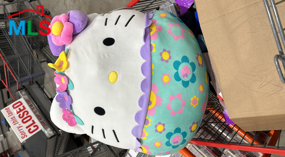 Gorgeous Home With Stunning Beach View !!!!