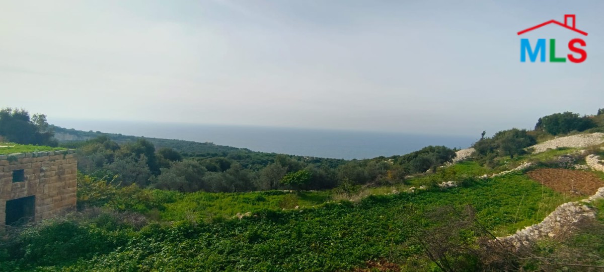 Land With Access to The Road for Sale in Berbara